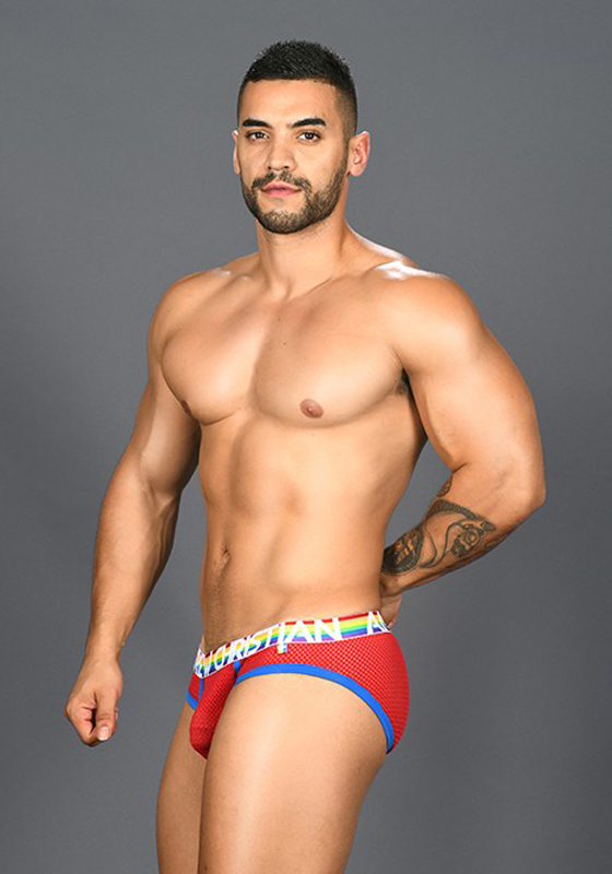 Andrew Christian Pride Mesh Brief Andrew Christian Pride Mesh Brief