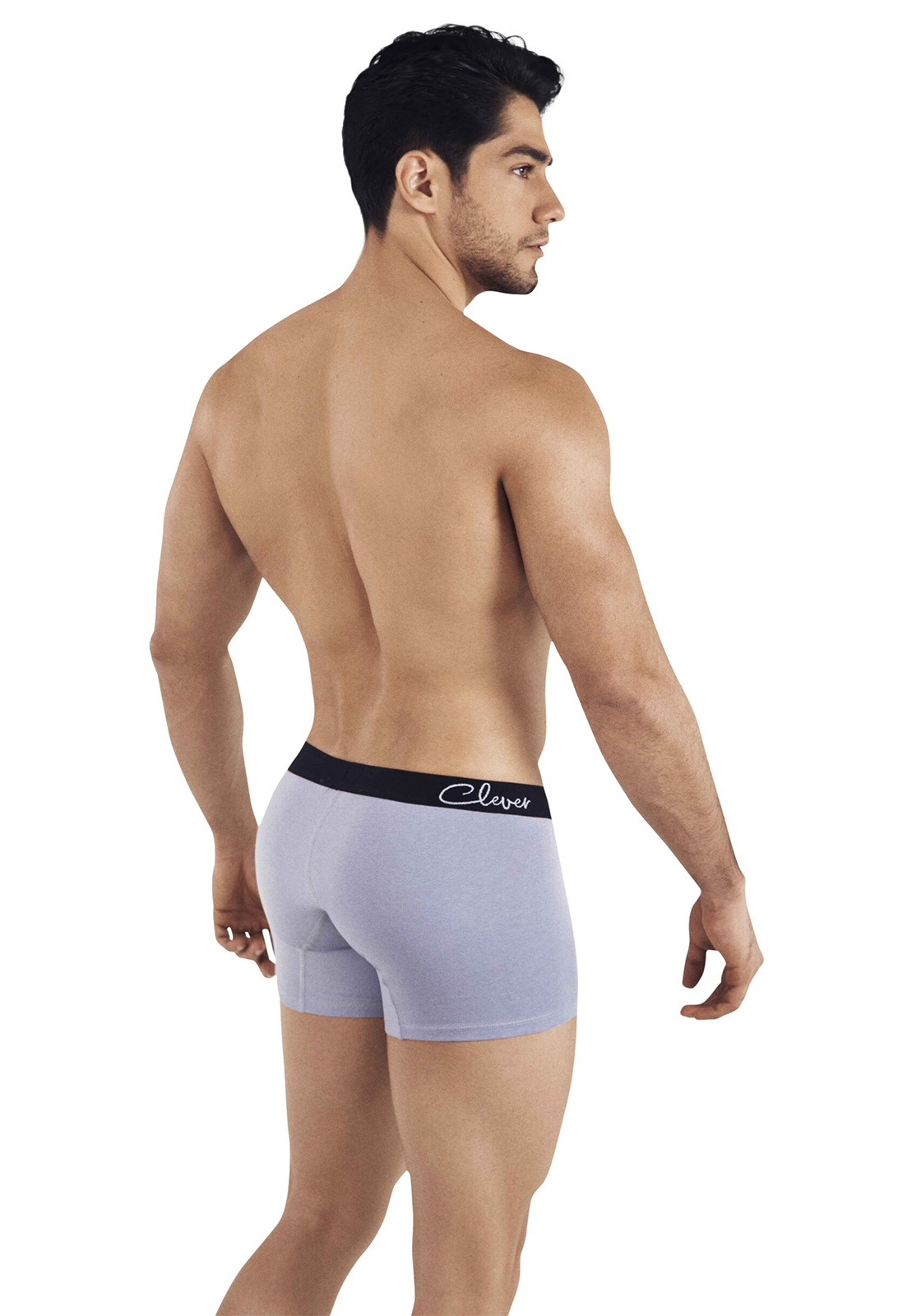 Clever Lowa Boxer | Grey