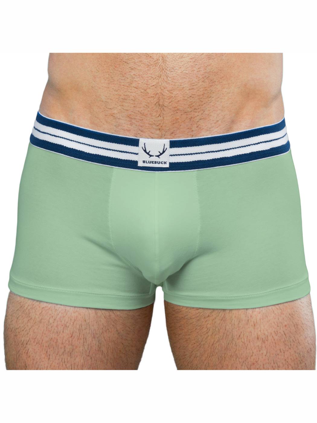 Classic Trunk | Iceberg Green