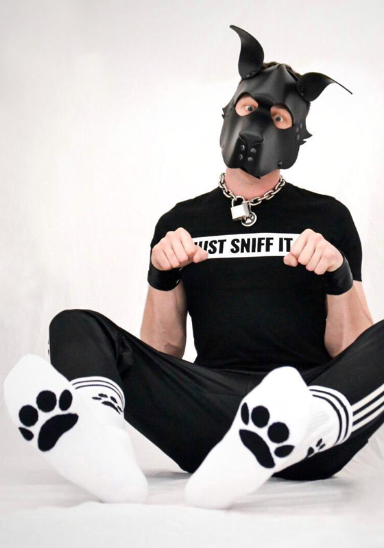 Sk8erboy Puppy Socks | White