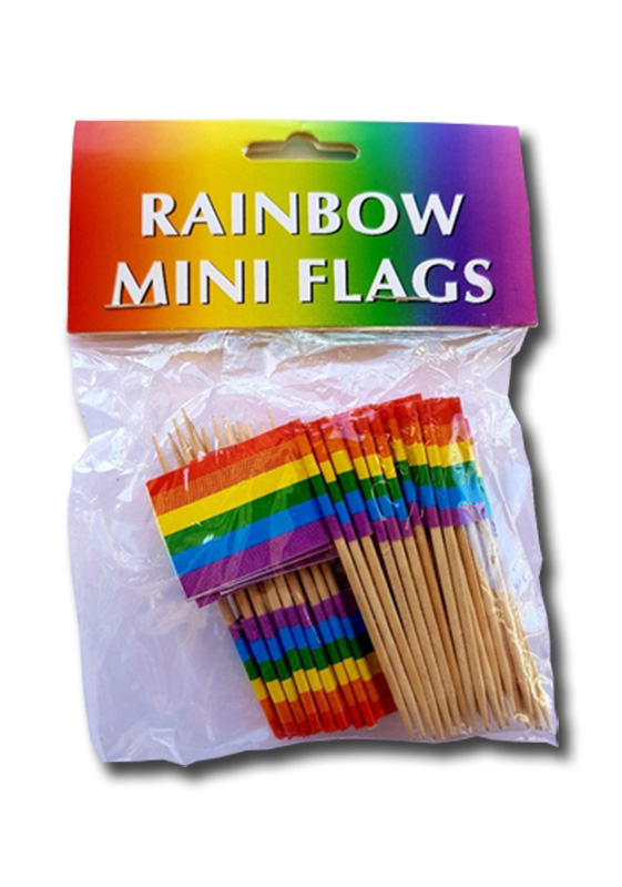 Regenbogen Zahnstocher mit Flagge (48-Pack)