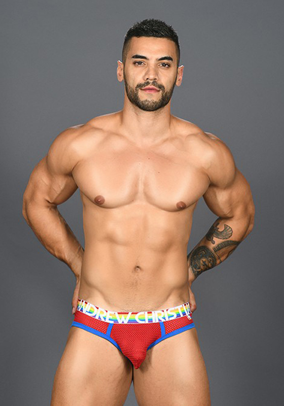 Andrew Christian Pride Mesh Brief Andrew Christian Pride Mesh Brief