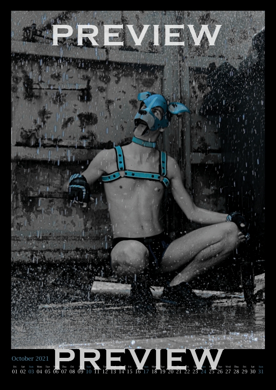 Puppy Kalender 2021 Puppy Kalender 2021