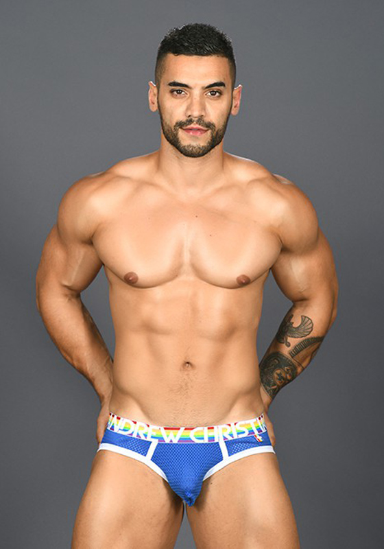 Andrew Christian Pride Mesh Brief Andrew Christian Pride Mesh Brief