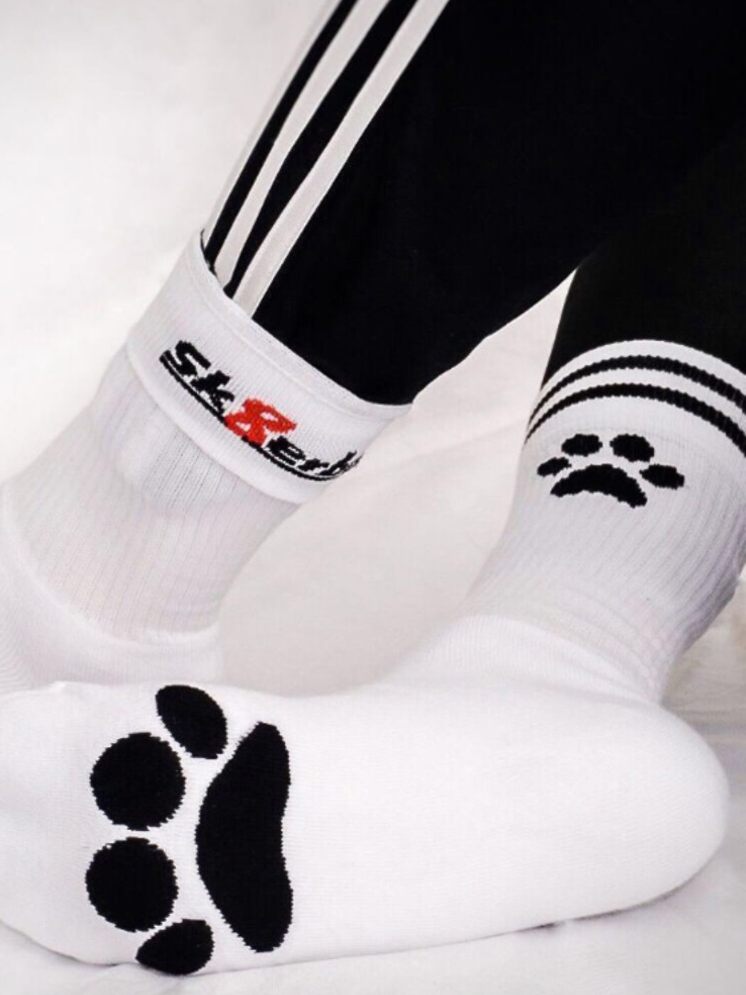 Sk8erboy Puppy Socks | White 