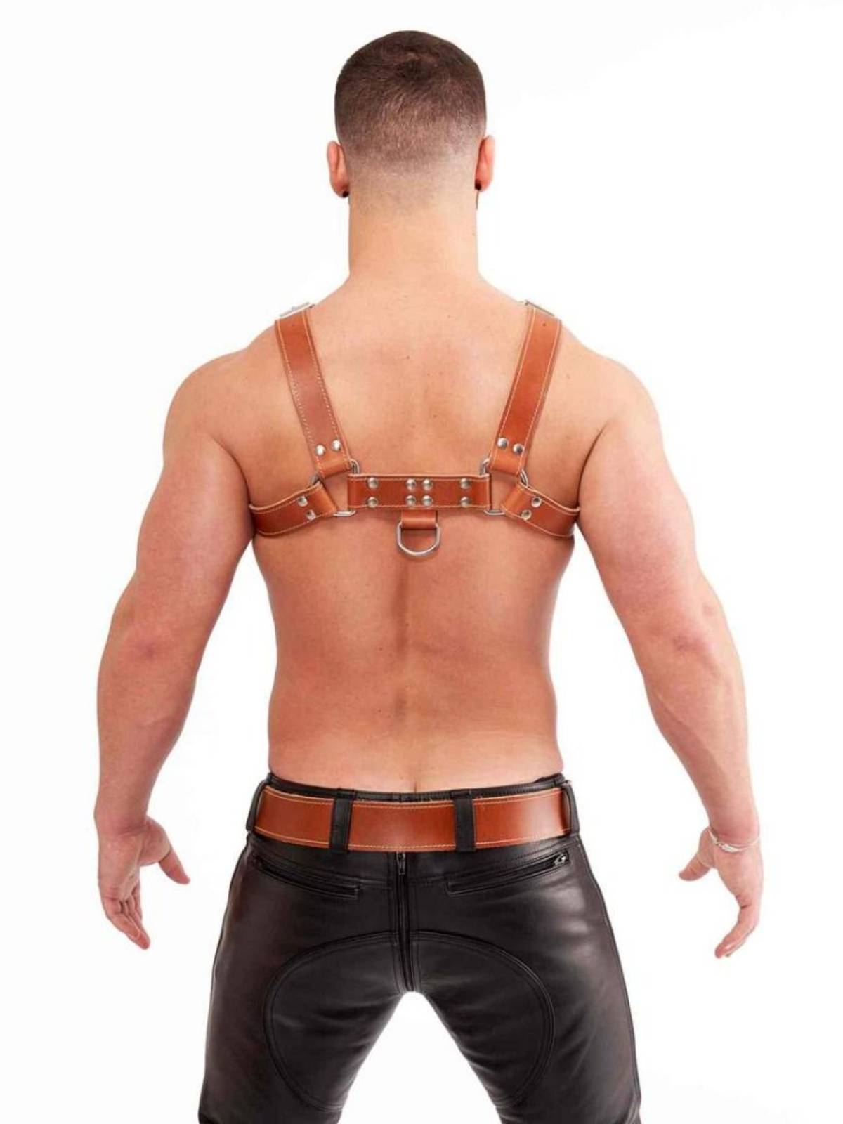 Mister B Chest Harness Saddle Leather | Brown