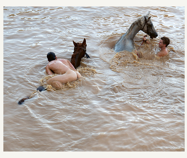 Paul Freeman | Larrikin Outsiders Paul Freeman | Larrikin Outsiders