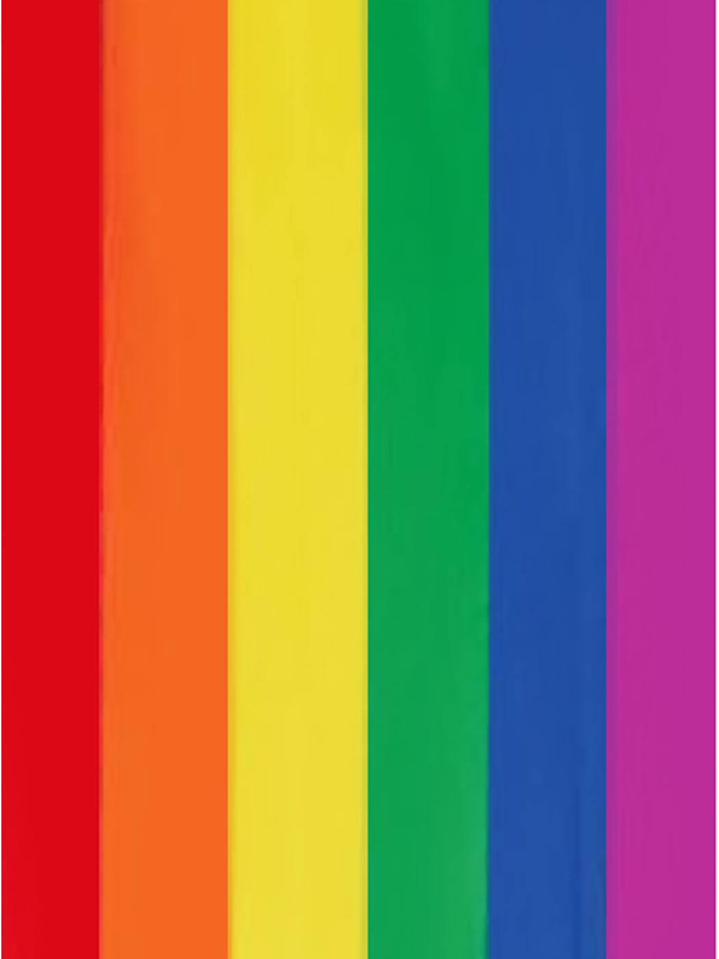 Regenbogen Flagge 1,5 x 10 m