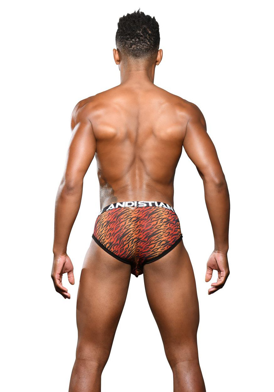 Andrew Christian Sheer Tiger Brief Almost Naked