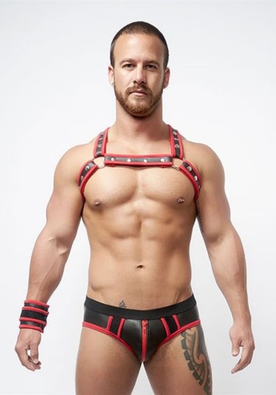 Mr. B: Neoprene X Back Harness Mr. B: Neoprene X Back Harness