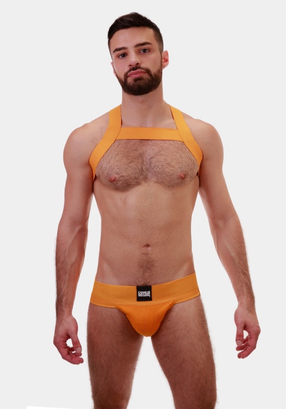 Harness Matt | Yellow