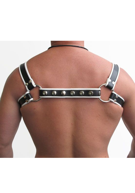 Mr. B: Leder Halter Harness Mr. B: Leder Halter Harness
