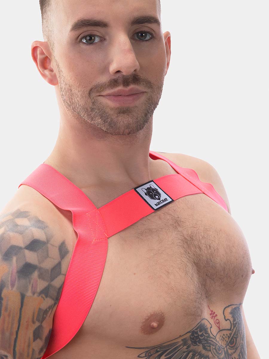 Harness Leonsh | Neonpink
