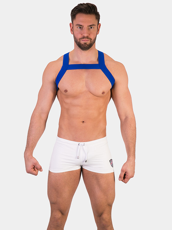 Harness Matt Harness Matt