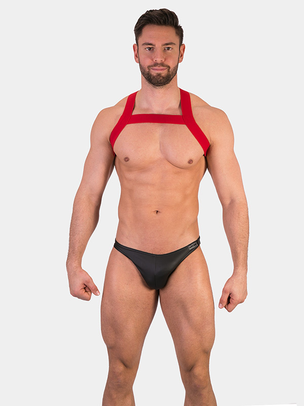 Harness Matt | Red