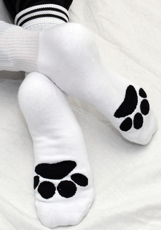 Sk8erboy Puppy Socks | White