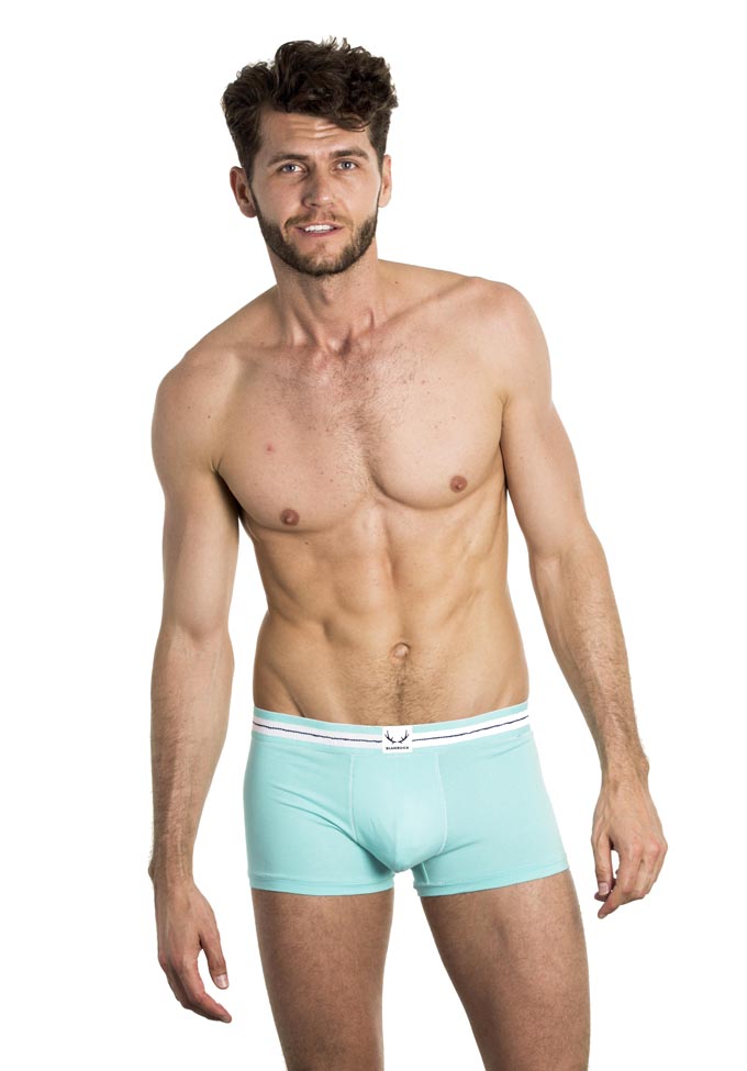 Bluebuck Turquoise Trunk