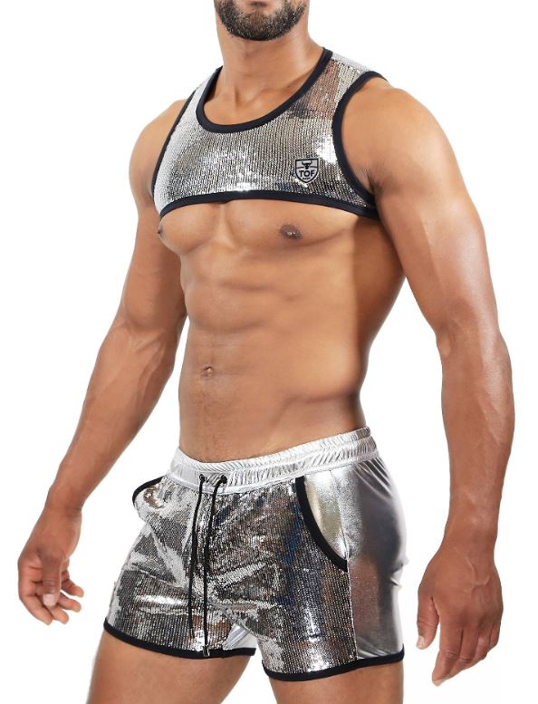 TOF H0016A Broadway Harness Silver