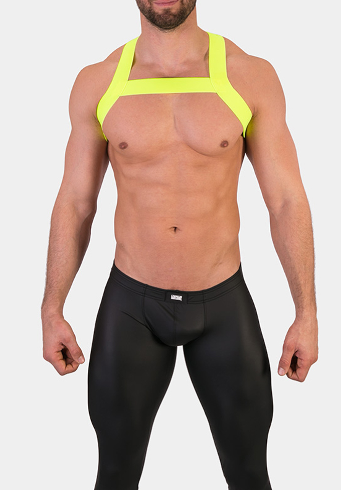 Harness Matt Harness Matt