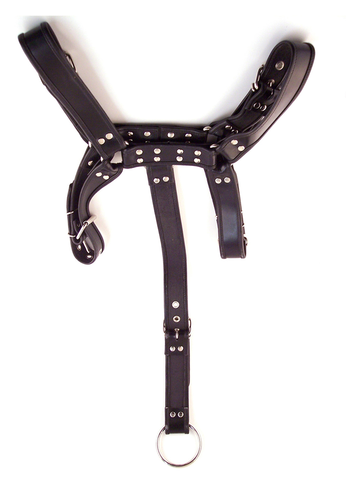 Rouge Body Harness mit Cockring