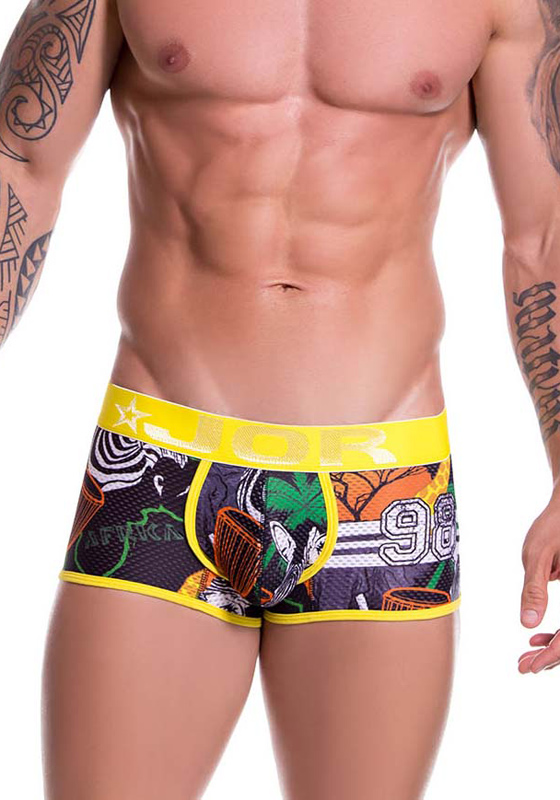 JOR Boxer Africa JOR Boxer Africa