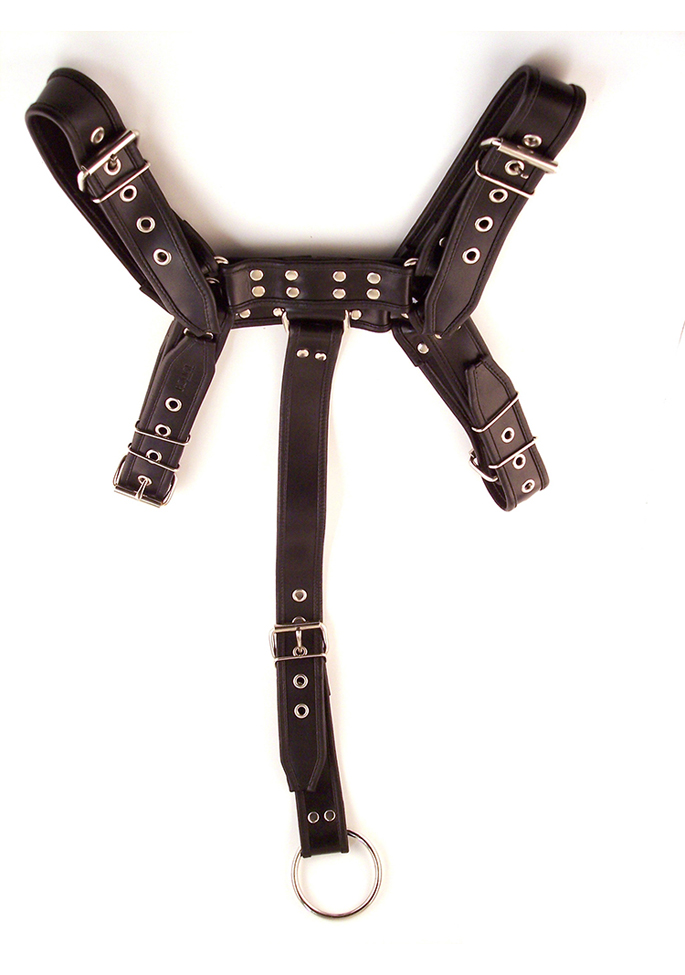 Rouge Body Harness mit Cockring