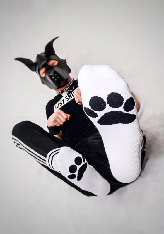 Sk8erboy Puppy Socks | White 