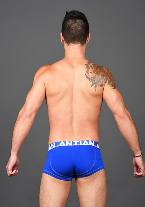 Andrew Christian Royal CoolFlex Boxer Show-It Andrew Christian Royal CoolFlex Boxer Show-It