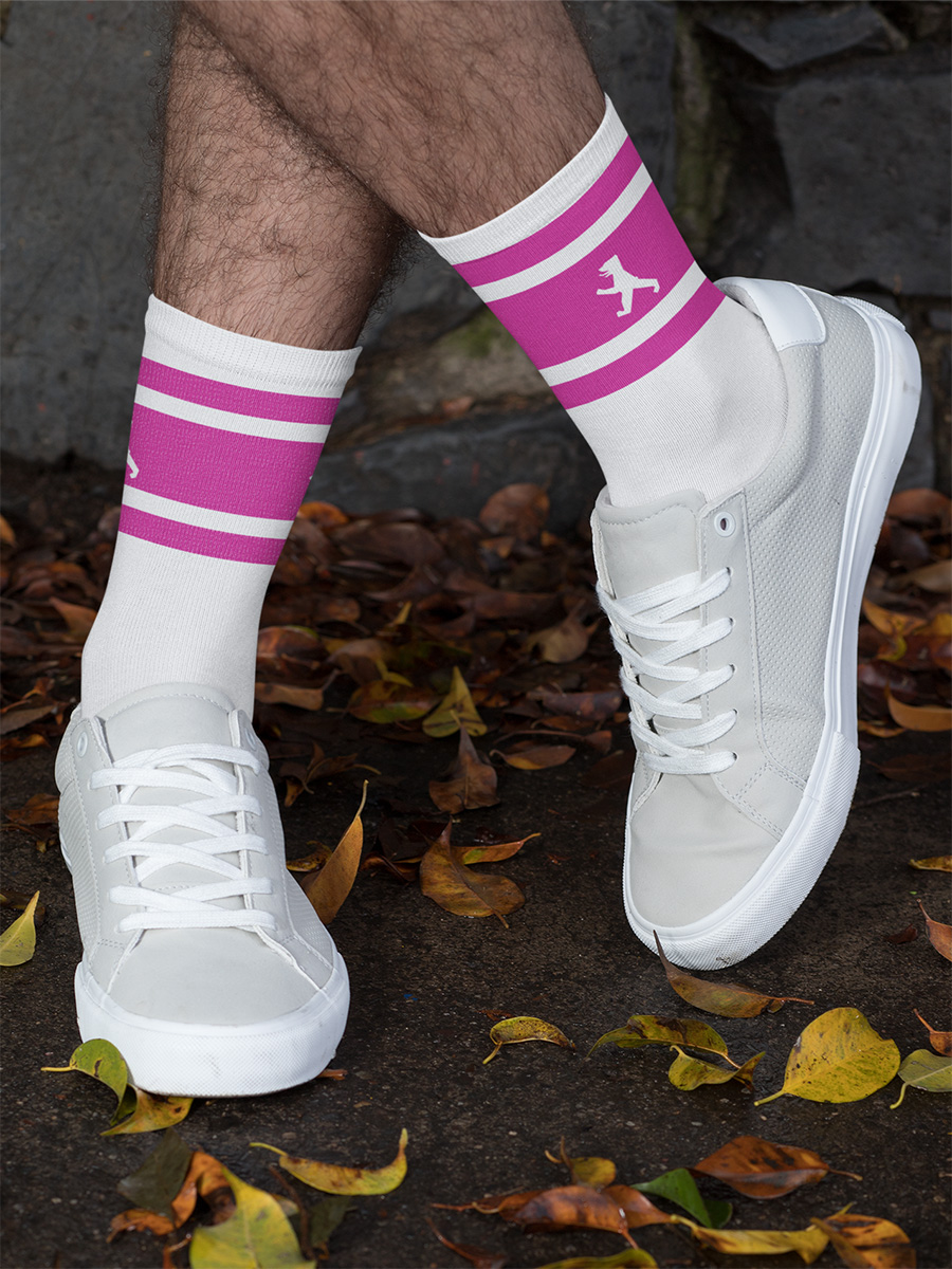 CSD Socks "Bär Stripe" | White