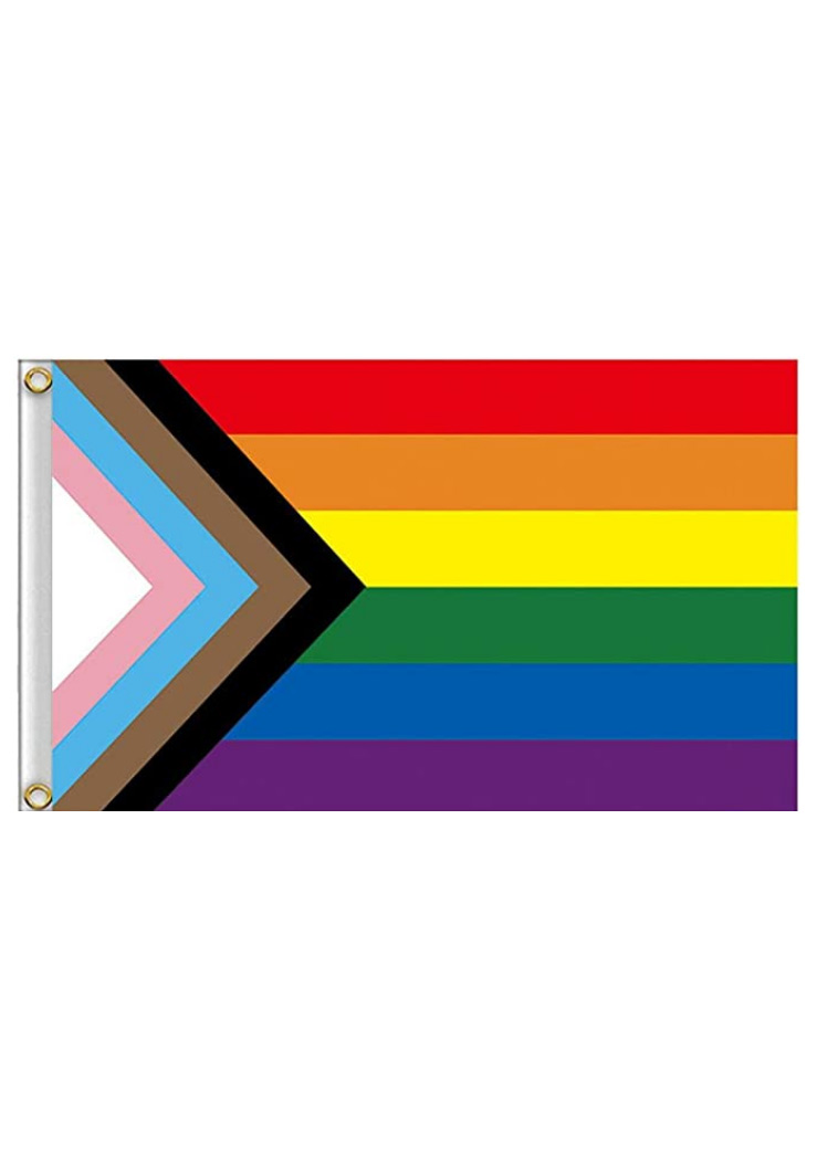 Regenbogen Progress Pride Flagge 90 x 150 cm